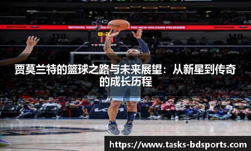 半岛体育官网