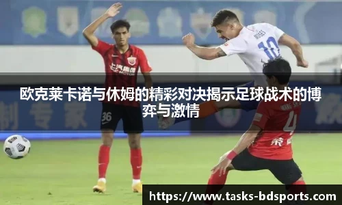 半岛体育APP