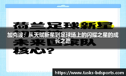 半岛体育