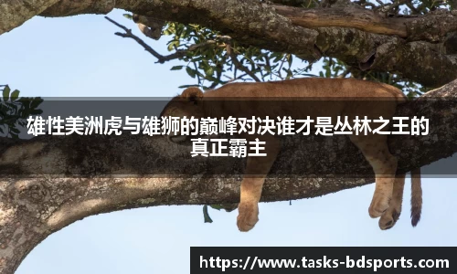 雄性美洲虎与雄狮的巅峰对决谁才是丛林之王的真正霸主